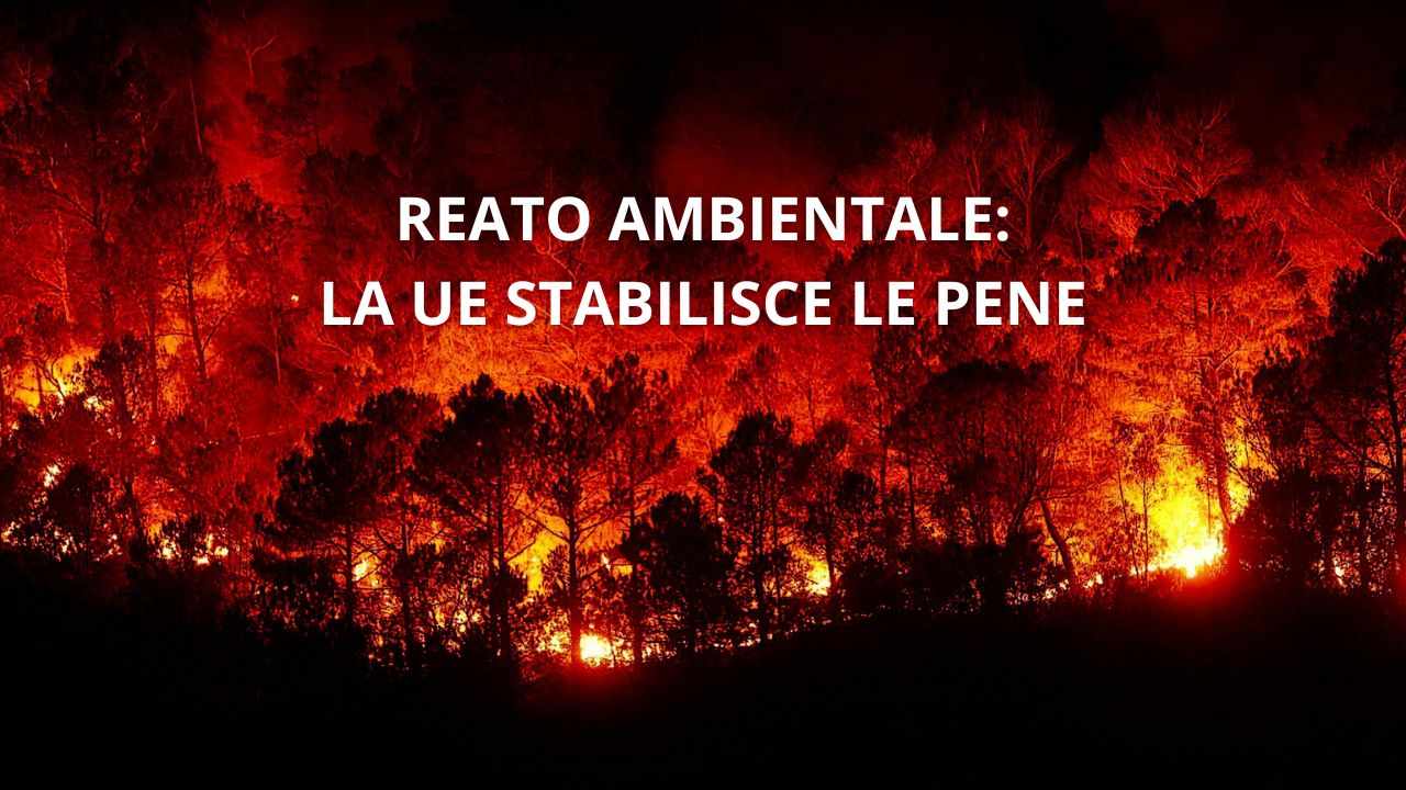 reati ambientali ecocidio