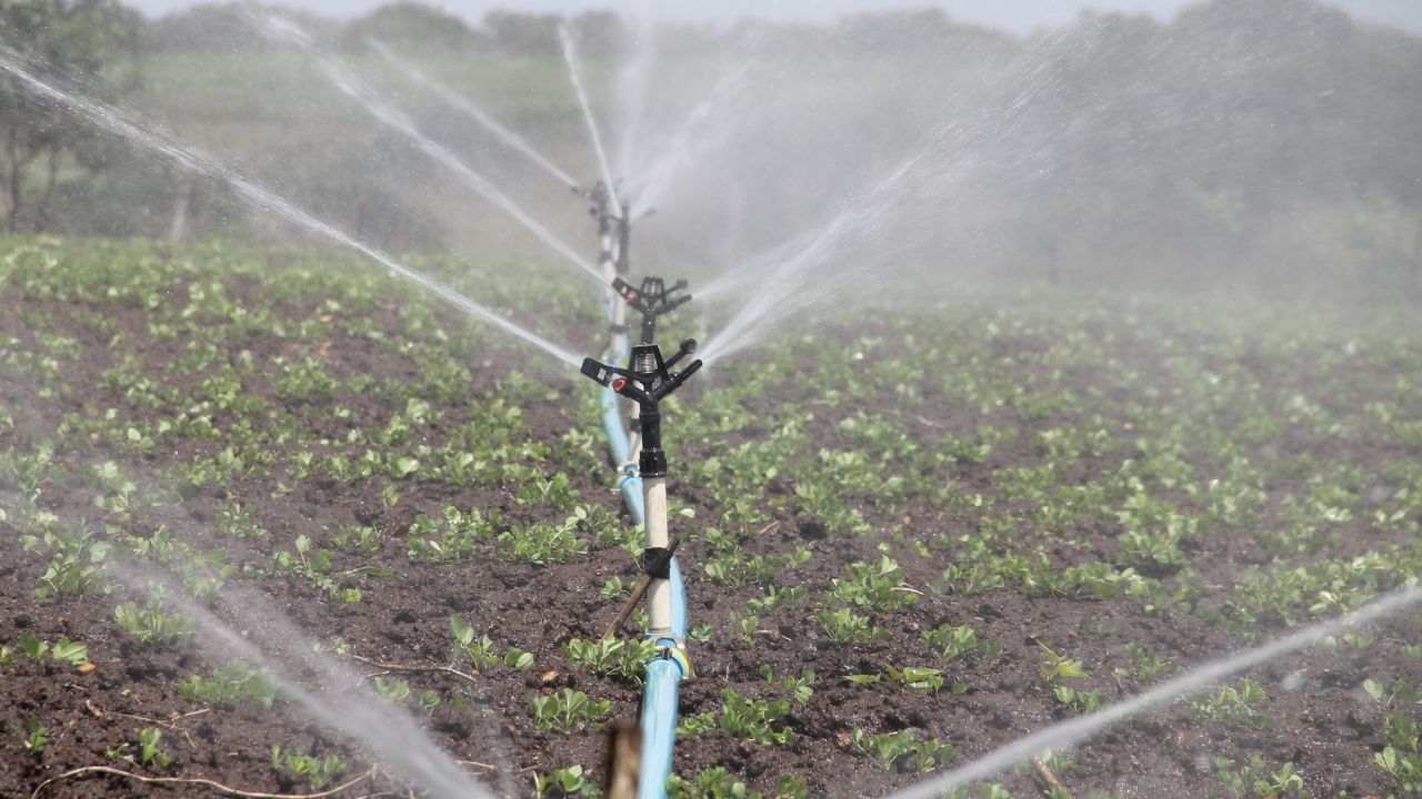 fertilizzante precisione risultati strepitosi