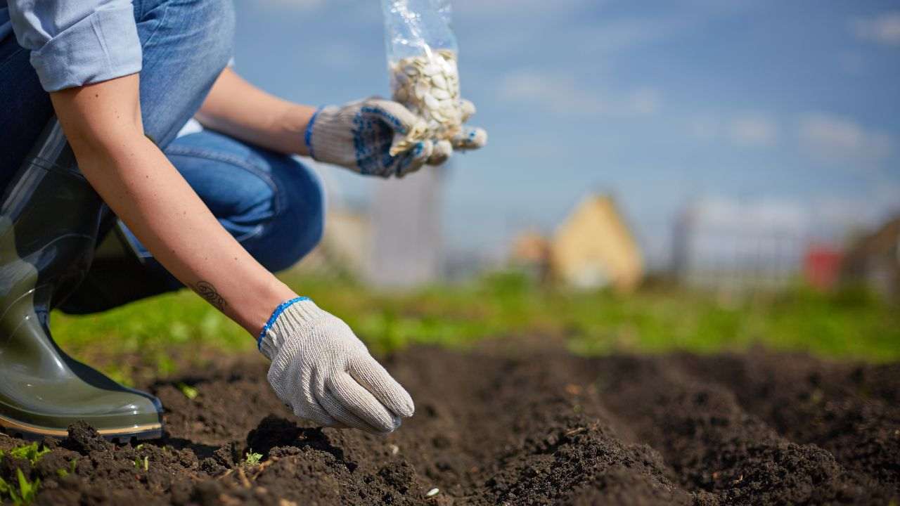 Semine aprile varietà consigli