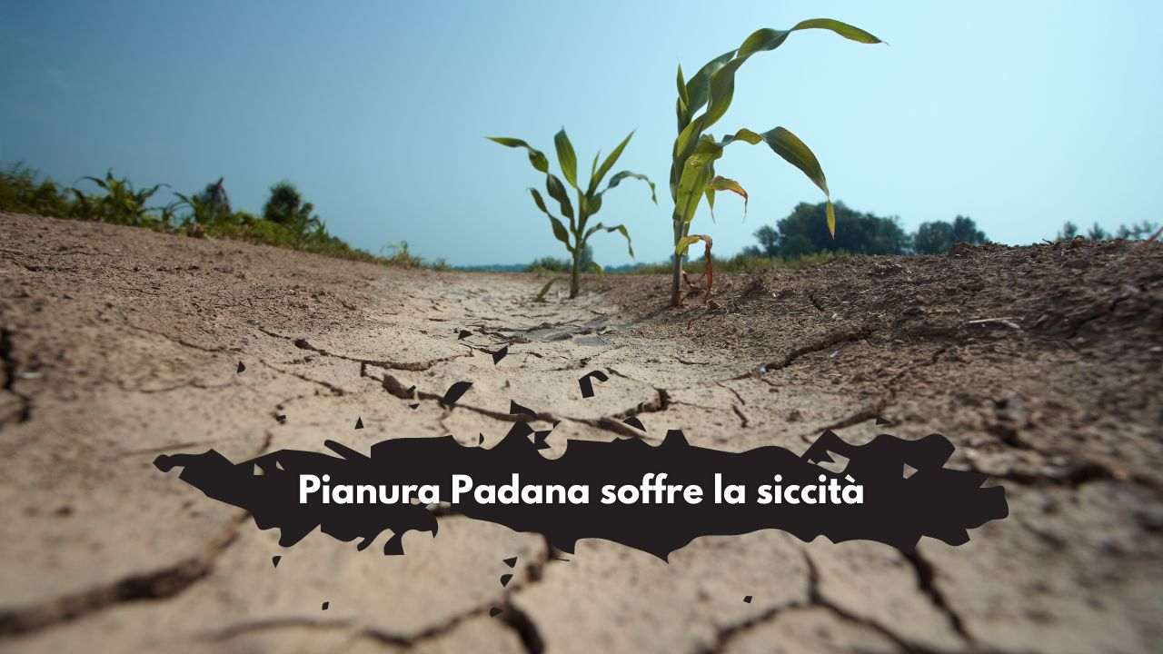 stop semine Pianura Padana siccità