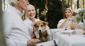 Pillola anti-invecchiamento per i cani: vivranno più a lungo