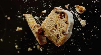 Pane a piccioni, anatre e cigni: non farlo mai più. Rischiano la vita
