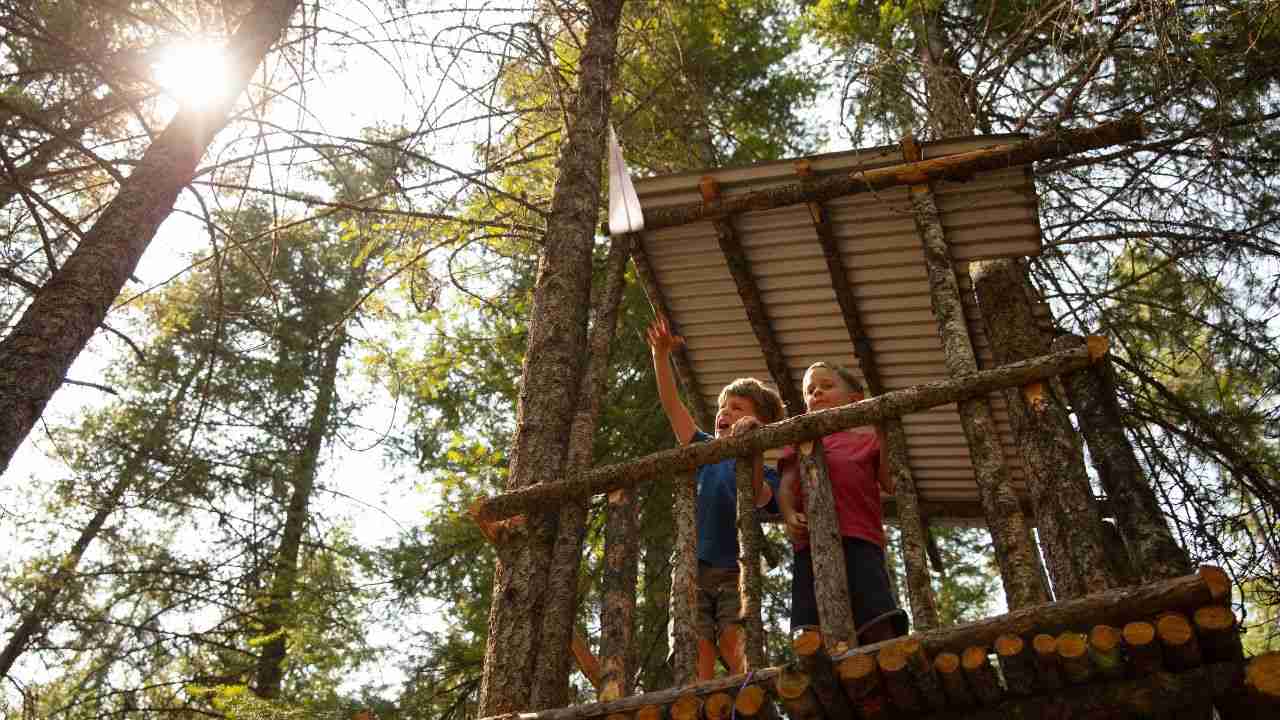 Casette albero bambini demolizione