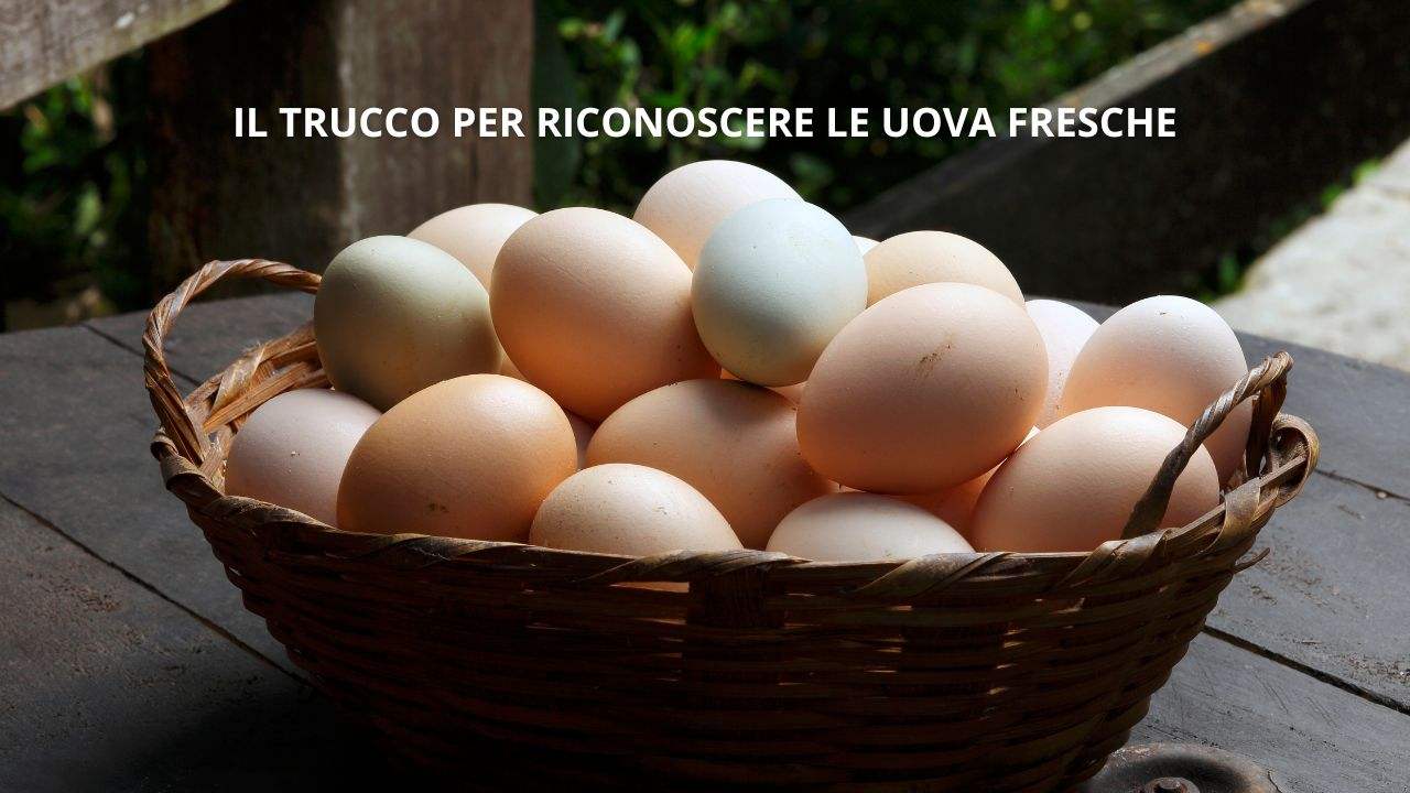 trucco riconoscere uova fresche