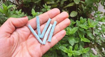 Bastoncini fertilizzanti, un valido aiuto per il tuo giardino
