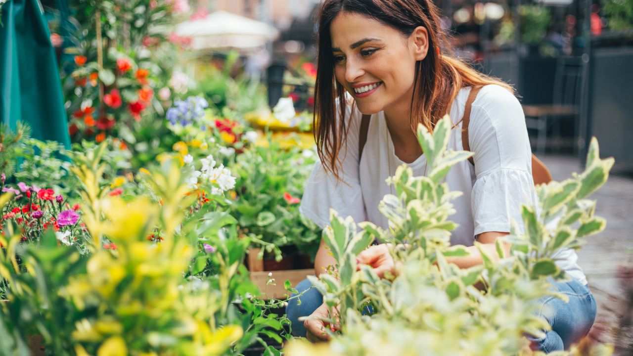 controllare segni fiori