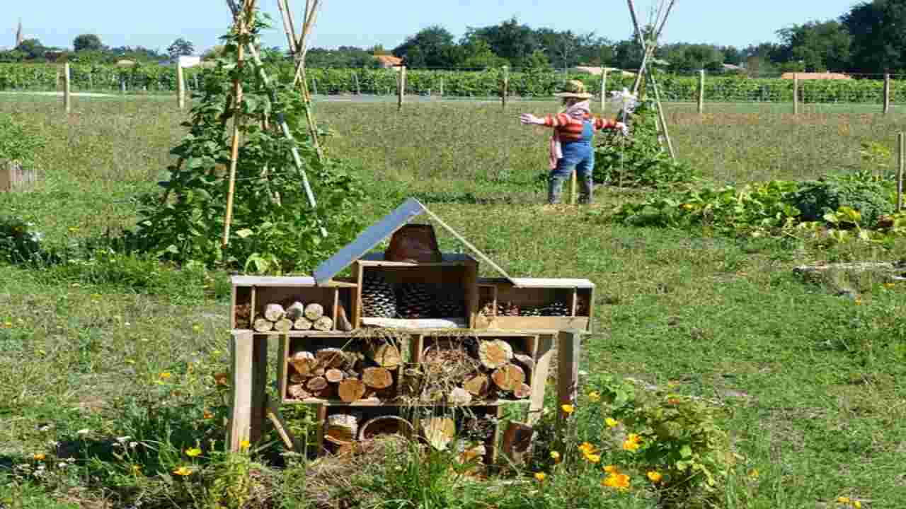 Permacultura, importante per orto e giardino: cos'è e come utilizzarla