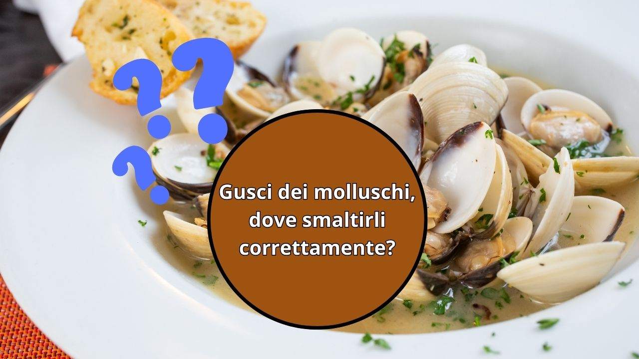 buttare gusci molluschi