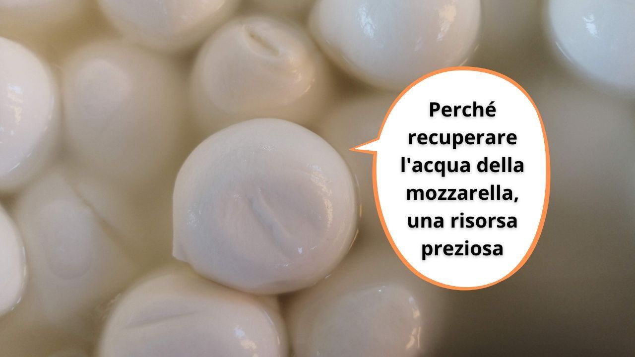 acqua mozzarella vale oro