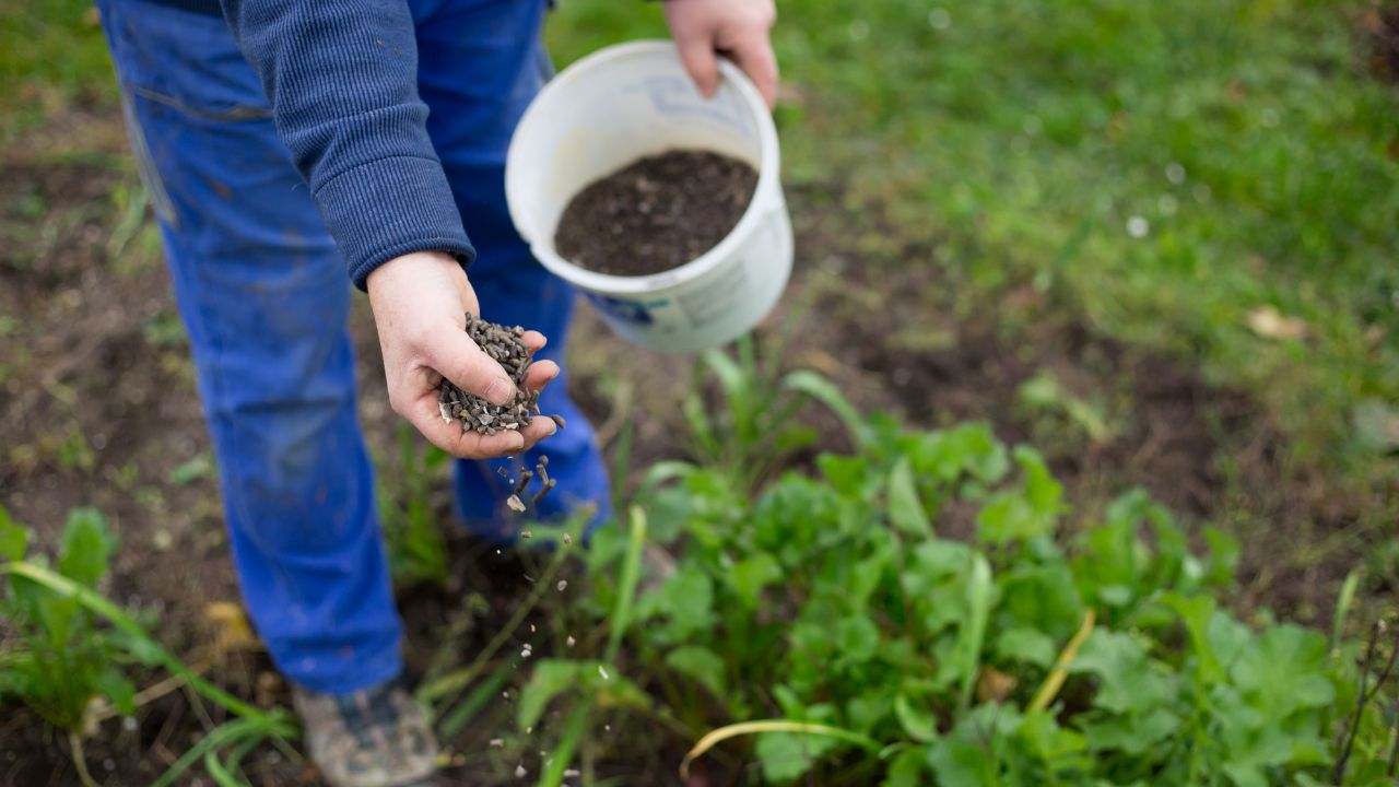 realizzare fertilizzanti azotati