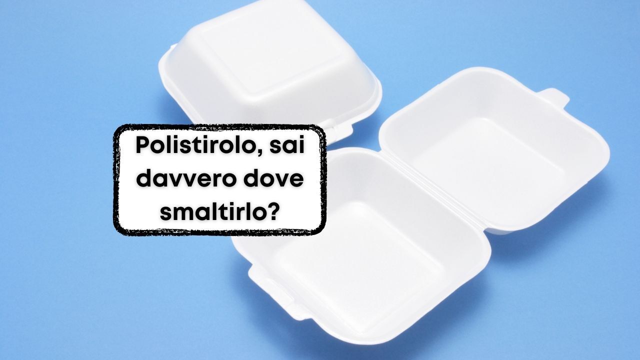 dove buttare polistirolo