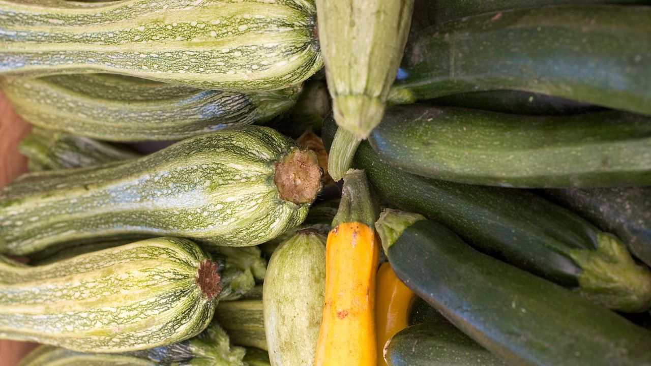 interrare zucchine vicino piante