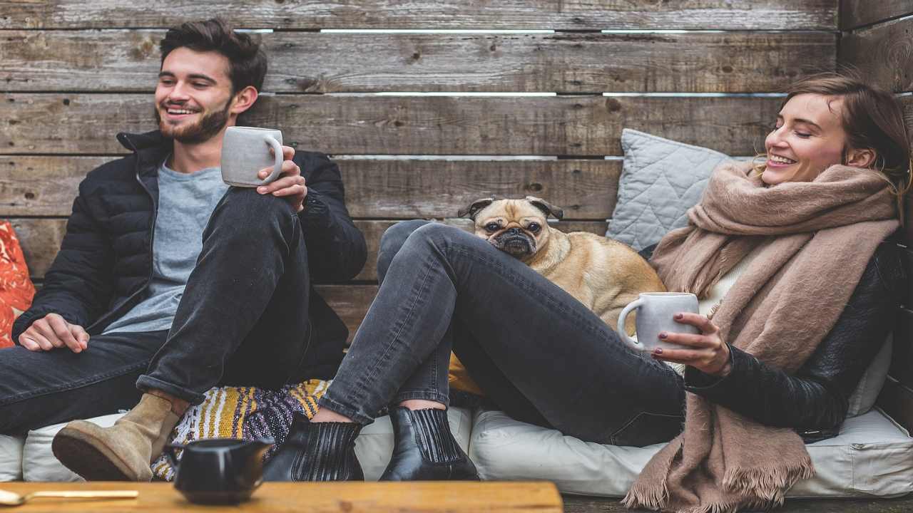 cane, il miglior amico dell'uomo