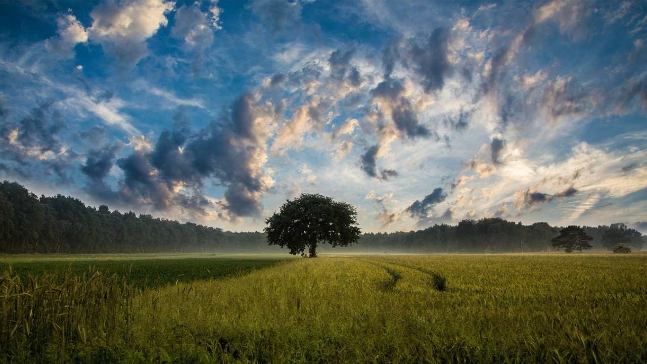 terreno, agricolo, lavori, recintare, recinto, legge