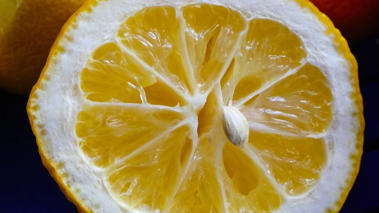 Sale e limone, tutto quello che puoi farci con ottimi risultati