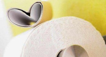 Rotoli di carta igienica, alcune idee di riciclo