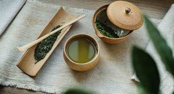 Tè verde, un prezioso contributo al nostro organismo: tutti i benefici