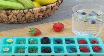 Aromatizza e rinfresca le tue bevande con il ghiaccio alla frutta: utilissimo in estate