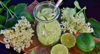 Infuso di sambuco, elimina le tossine e combatte la stipsi