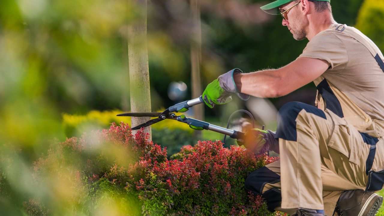 giardinaggio allenamento studio