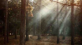 È la Giornata Mondiale dell’Ambiente, quali sono le priorità