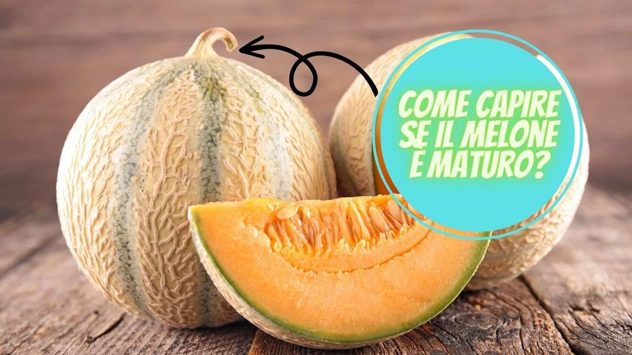 capire melone maturo