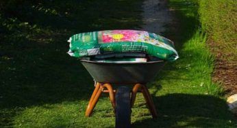 Terriccio dei vasi, dov’è che si butta per essere al 100% green