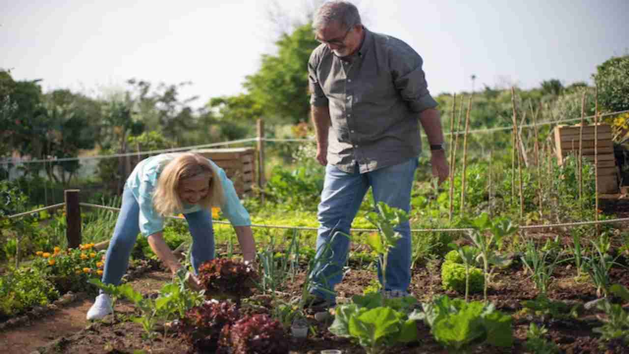 Giardinaggio per principianti, qualche consiglio utile