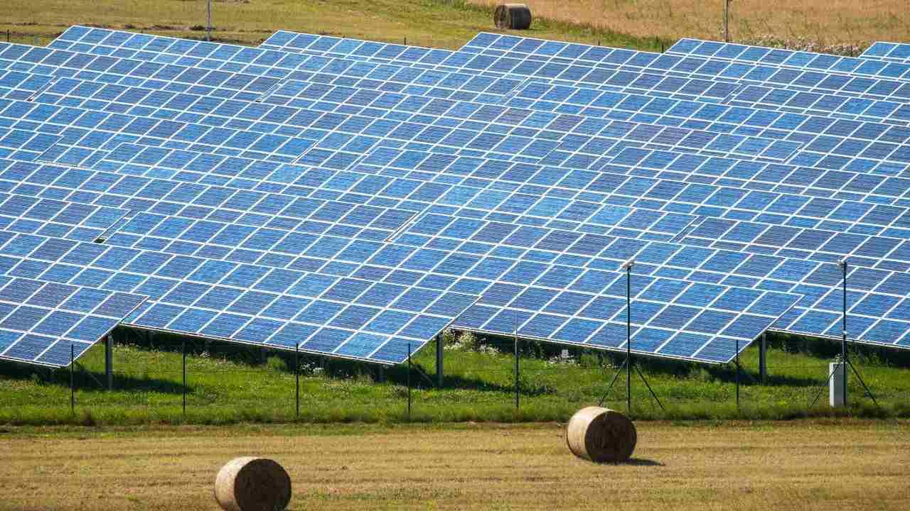 Pannelli fotovoltaici campi agricoli bando