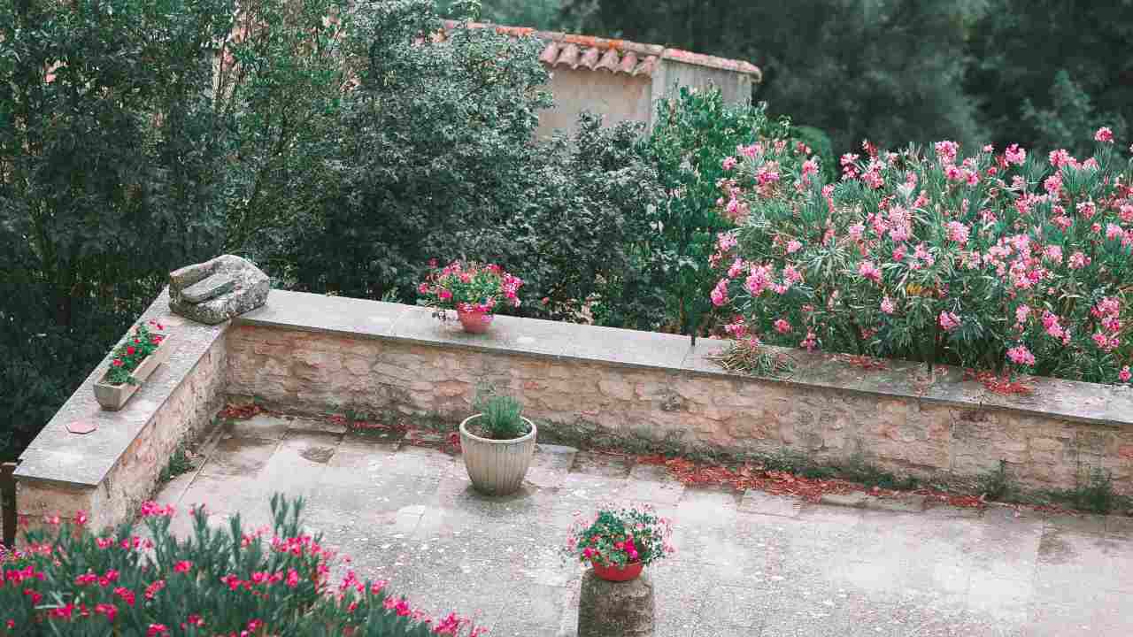 Il pavimento del giardino; qual è il migliore?