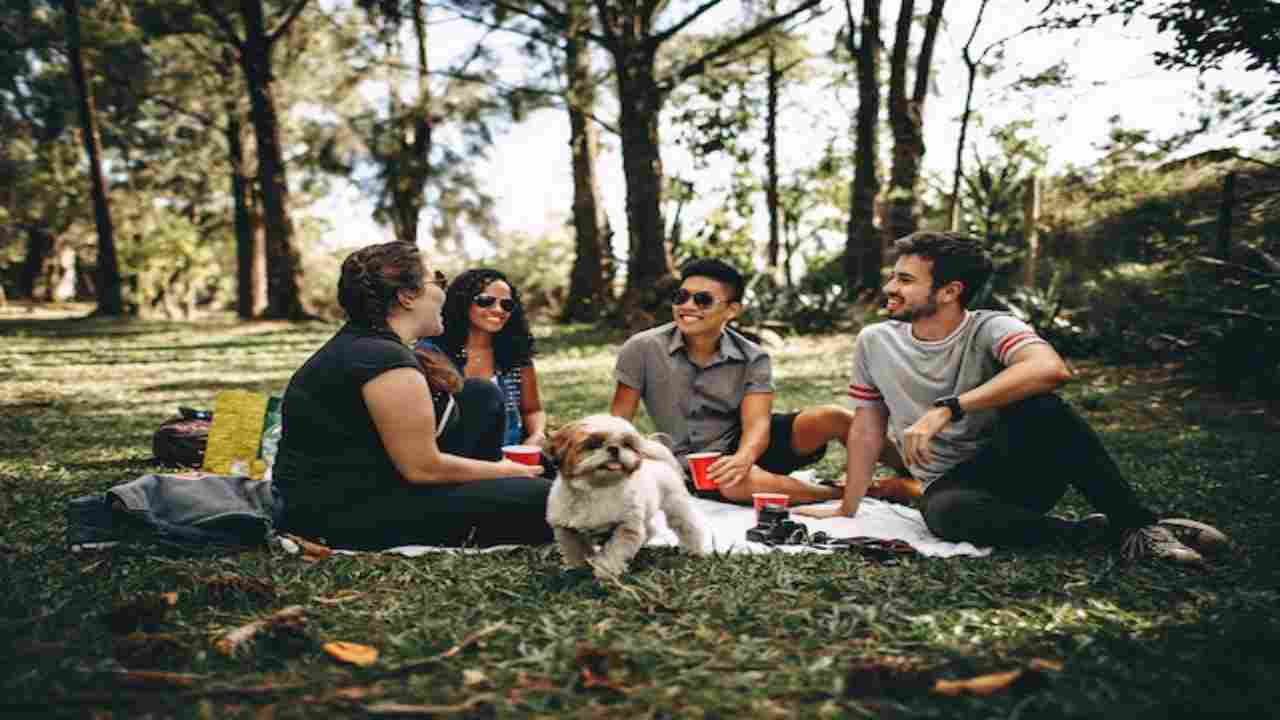 Pic-nic amico della natura, le 7 regole da seguire