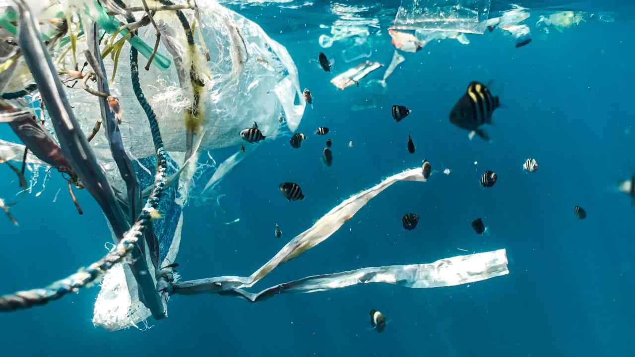 In mare la plastica supera ormai i pesci