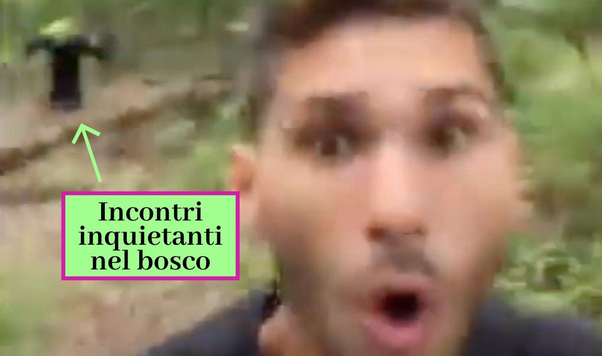 incontri inquietanti bosco