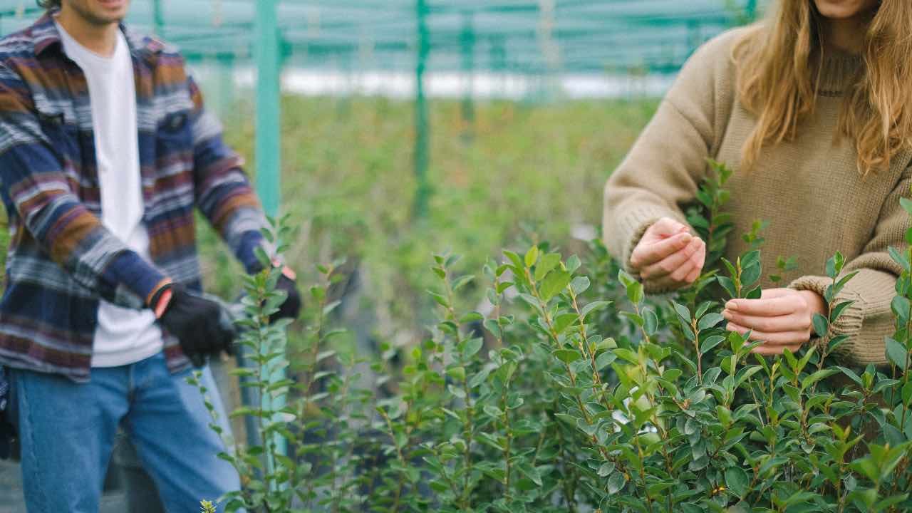 agricultura bio resilienza