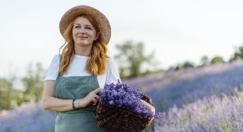 Lavanda