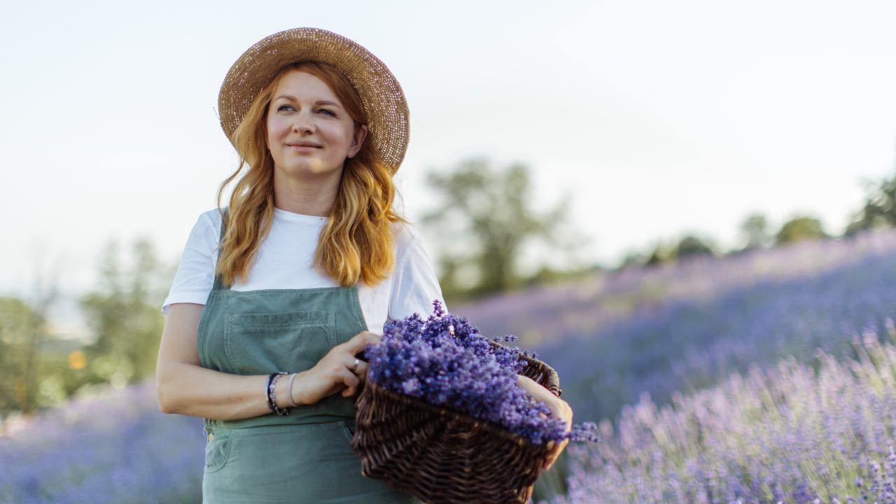 lavanda come coltivare