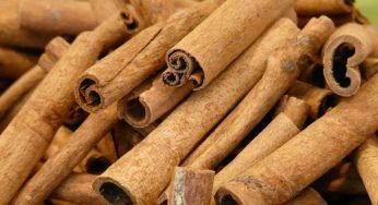 Fertilizzante in polvere, hai mai pensato alla cannella? E’ davvero ottima