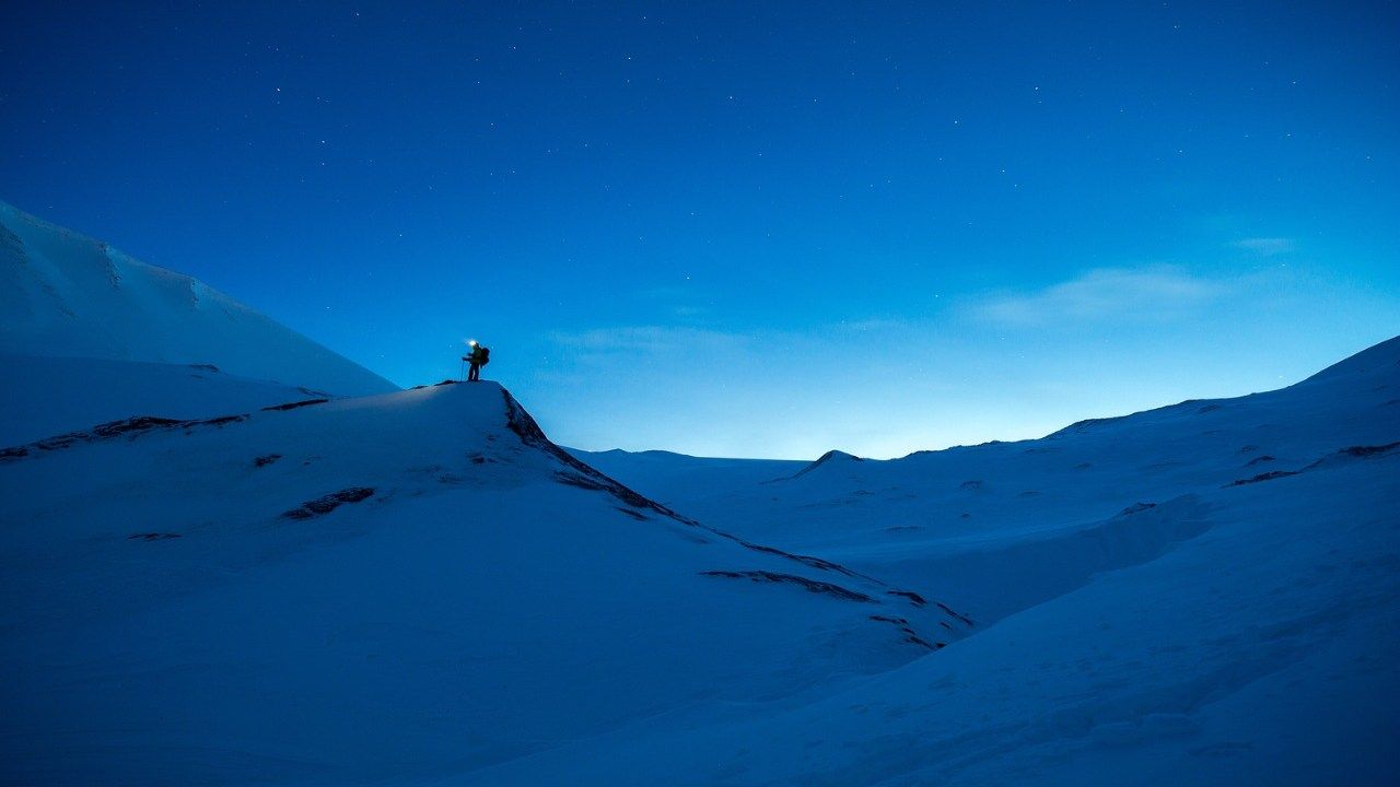 Svalbard bunker agricoltura