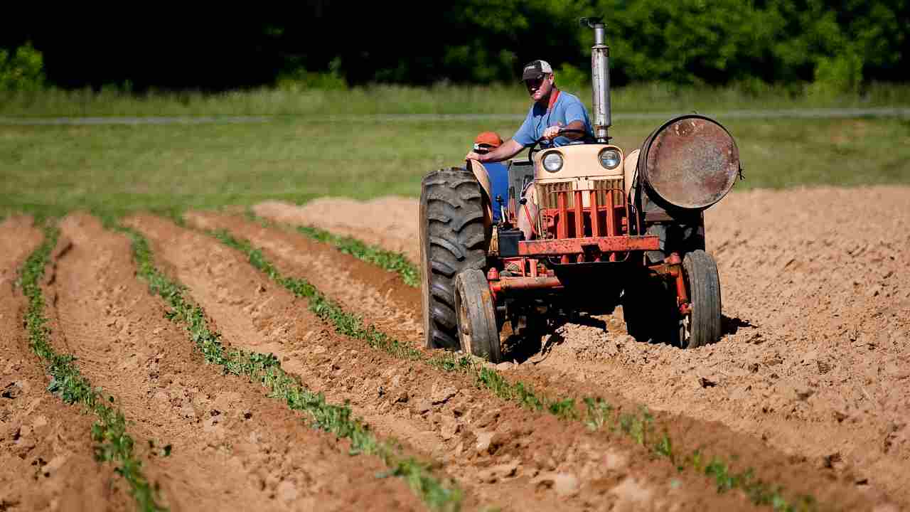 Disoccupazione agricola: cosa sapere