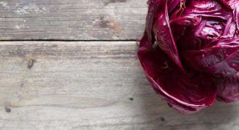 Radicchio, gli amici e i nemici di quest’ortaggio