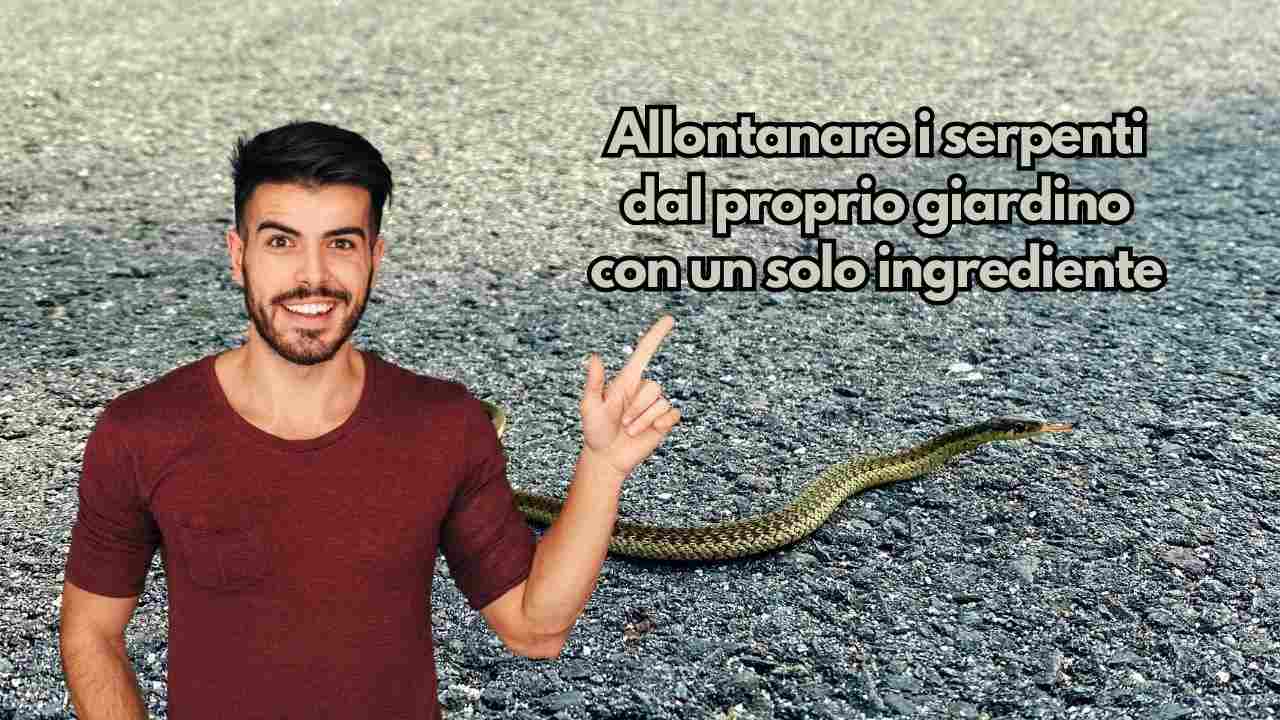 ingrediente allontanare serpenti