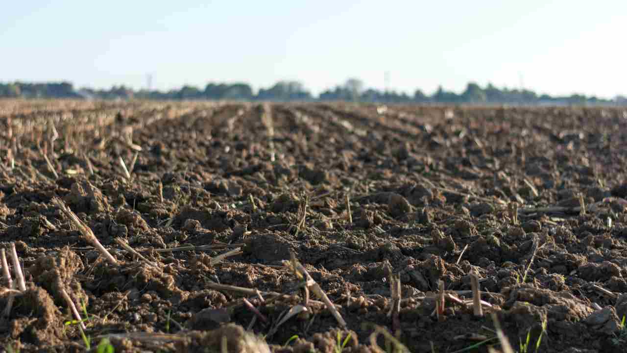 Le risorse Pac sono insufficienti nell'agricoltura