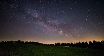 Ci sono più alberi sulla Terra che Stelle nella Via Lattea, lo sapevi?