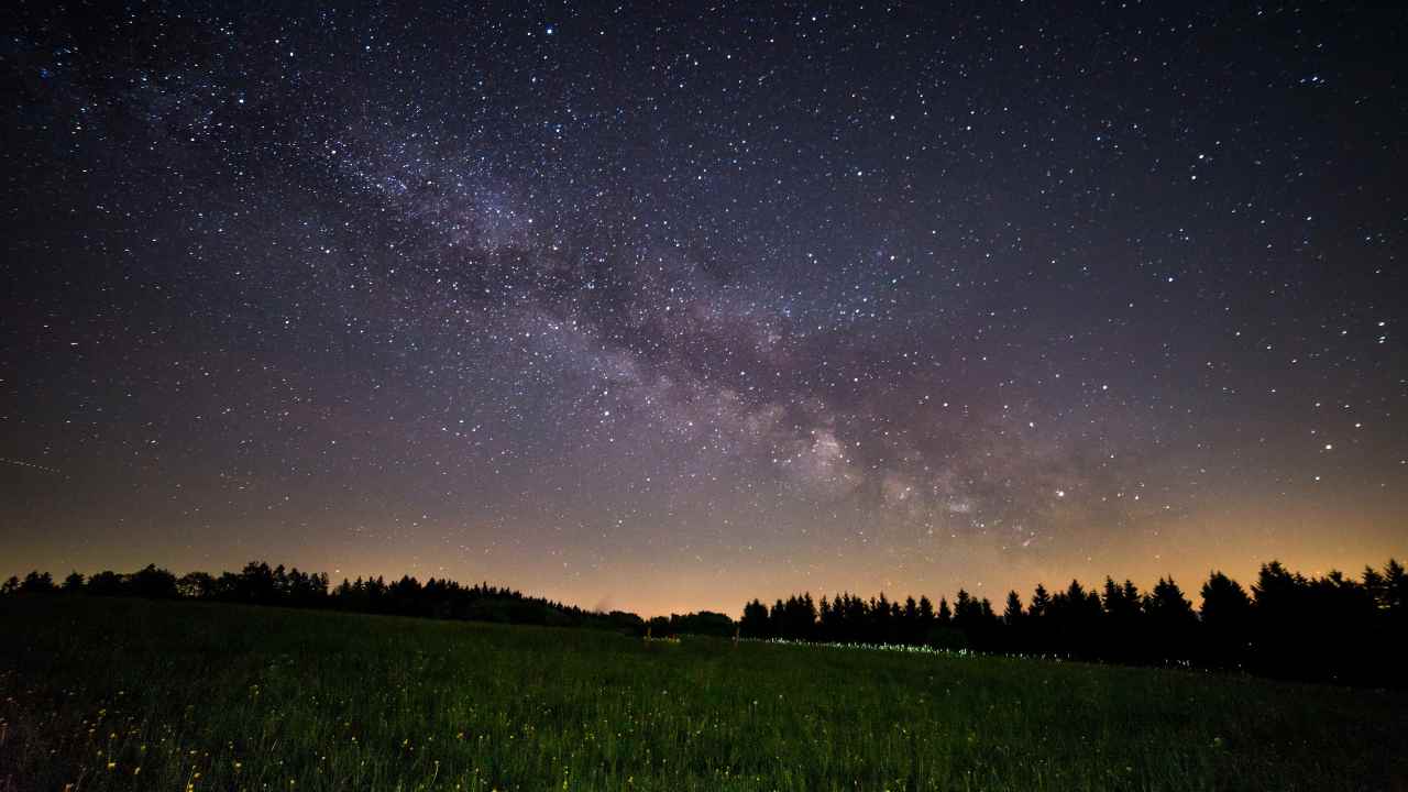 Ci sono più alberi sulla Terra che Stelle nella Via Lattea