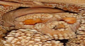 La scoperta che toglie ogni dubbio, i resti sono dell’uomo di Altamura