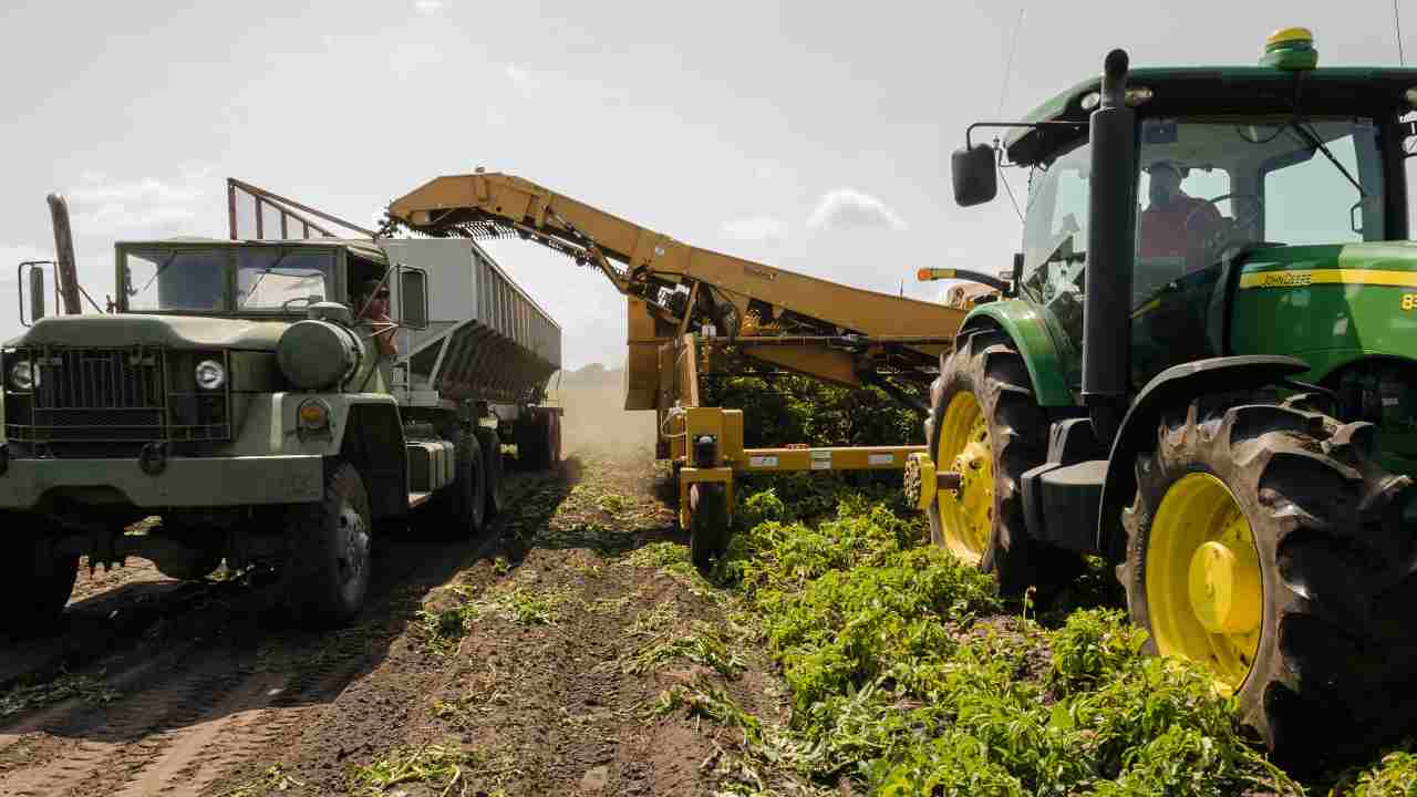 Agricoltura: i nuovi aiuti per l'energia verde