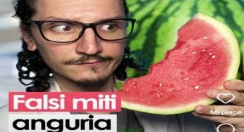 Falsi miti da sfatare sul frutto più amato dell’estate: l’anguria