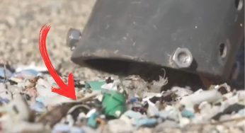 Un aspiratore rimuove le microplastiche dalle spiagge e non porta via la sabbia