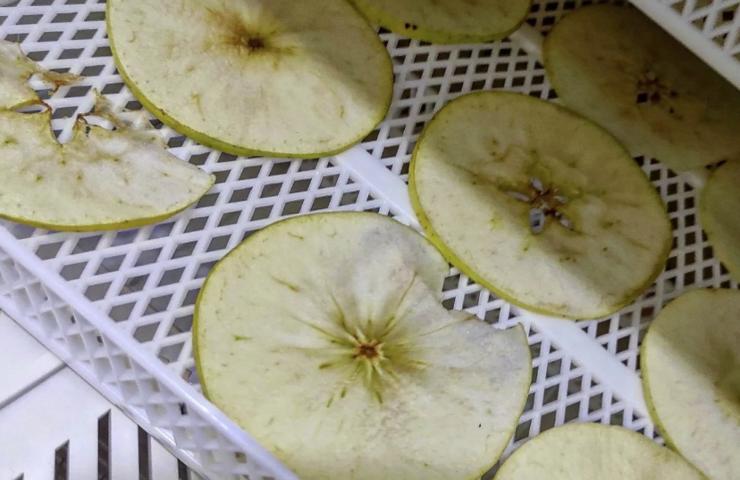 Frutta verdura conservazione lunga essiccazione 
