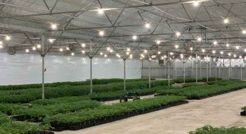 Rischi una multa salatissima se ce l’hai in giardino, non è consentito dalla Legge